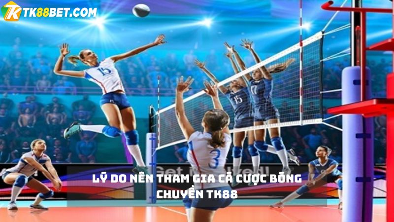 Lý do nên chơi cá cược bóng chuyền TK88