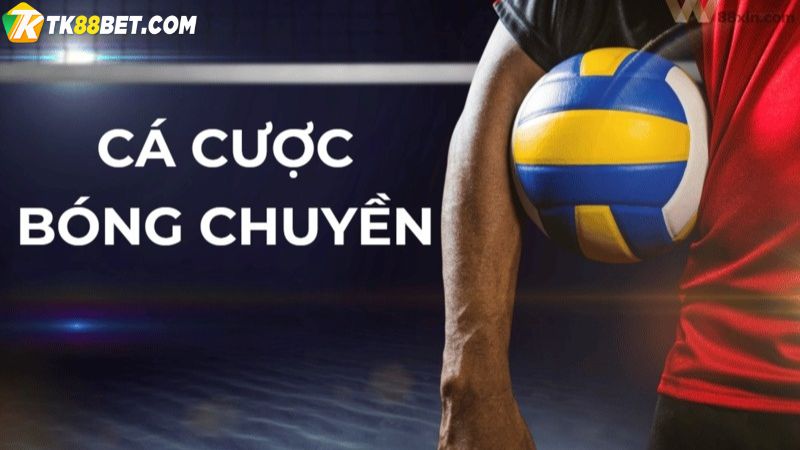 Cá cược bóng chuyền là gì?