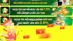 Hoàn trả nạp